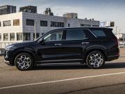 Hyundai Palisade I Москва  - изображение 27