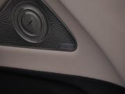 Mercedes-Benz S-Класс VII (W223) Москва  - изображение 50