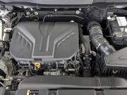 Haval Dargo Москва  - изображение 39