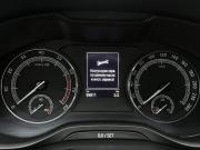 Skoda Kodiaq I Кемерово  - изображение 25