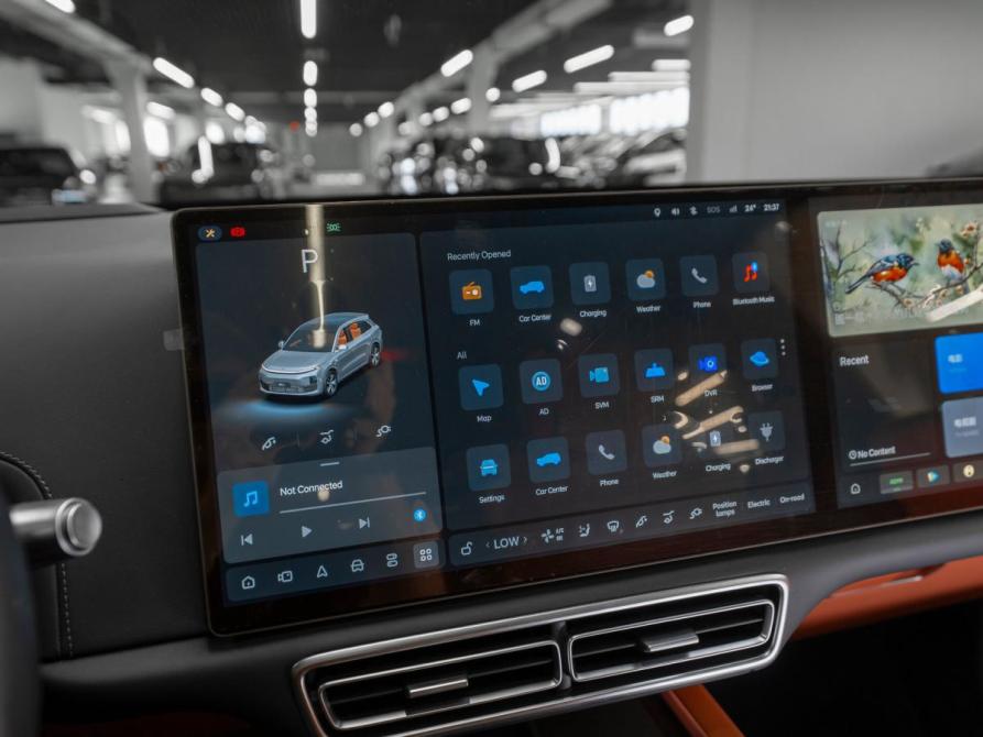 Li Auto (Lixiang) L6 Москва  - изображение 20