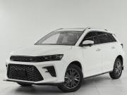 SWM G01F Москва  - изображение 20