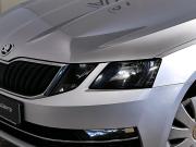 Skoda Octavia III (A7) Рестайлинг Москва  - изображение 20