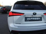 Lexus NX I Владимир  - изображение 55