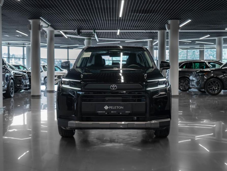 Toyota RAV4 VI (XA60) Москва  - изображение 3