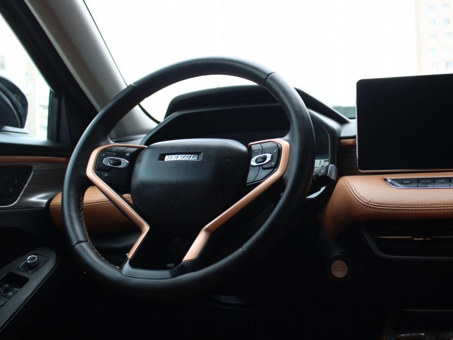 Haval Jolion I Дзержинск  - изображение 13