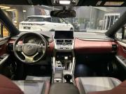 Lexus NX I Рестайлинг Тюмень  - изображение 34