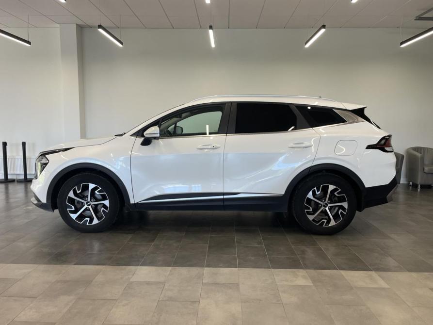 Kia Sportage V Калуга  - изображение 6