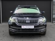 Skoda Kodiaq I Москва  - изображение 19