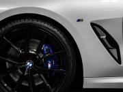 BMW 8 серии II (G14/G15/G16) Москва  - изображение 28
