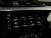 Audi e-tron I Москва  - изображение 41