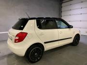 Skoda Fabia II Рестайлинг Новосибирск  - изображение 31