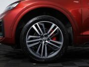 Audi Q5 Sportback I (FY) Москва  - изображение 52