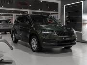 Skoda Karoq I Москва  - изображение 29