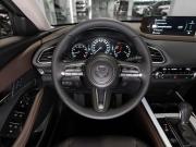 Mazda CX-30 I Москва  - изображение 39