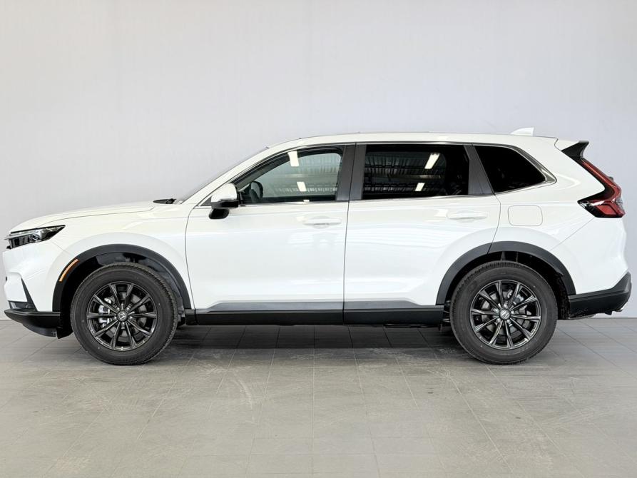 Honda CR-V VI Воронеж  - изображение 30