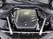 BMW 8 серии II (G14/G15/G16) Москва  - изображение 39