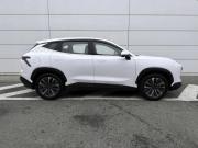 JETOUR DASHING I Ставрополь  - изображение 25