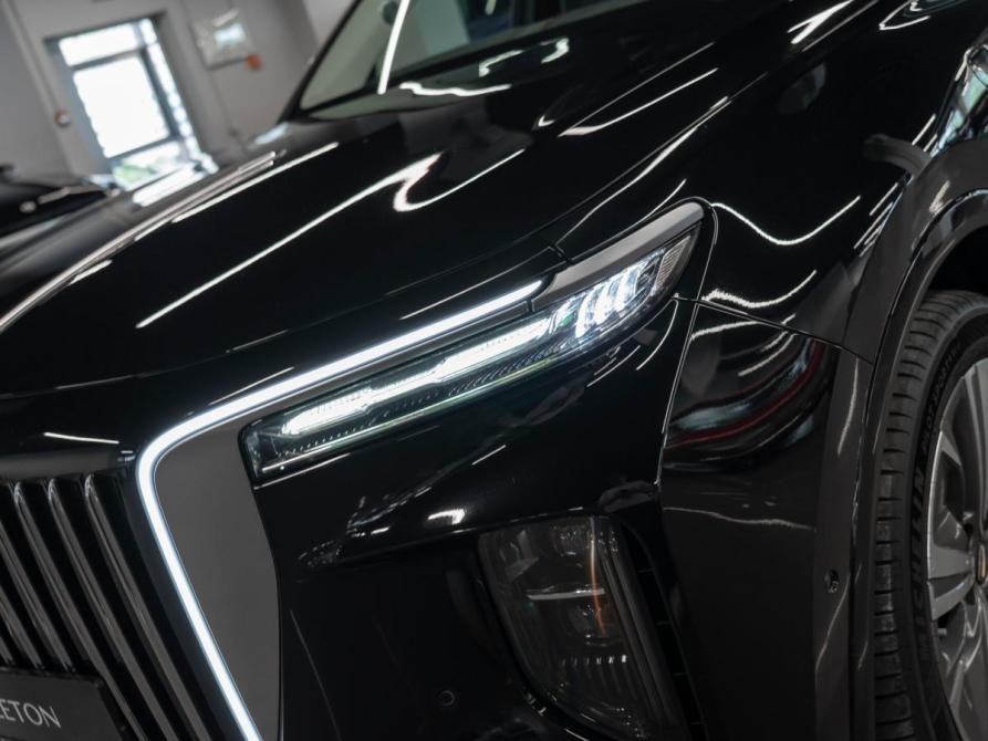 Hongqi E-HS9 Москва  - изображение 28