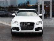 Audi Q5 I (8R) Рестайлинг Новосибирск  - изображение 21