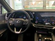 Lexus RX V Челябинск  - изображение 45