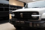 Tank 300 I Санкт-Петербург  - изображение 32