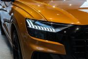 Audi Q8 I (4M) Москва  - изображение 77