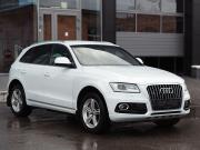 Audi Q5 I (8R) Рестайлинг Новосибирск  - изображение 22