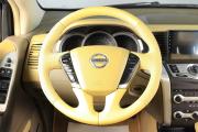 Nissan Murano II (Z51) Рестайлинг Тюмень  - изображение 36