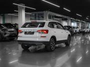 Skoda Kamiq I (China Market) Москва  - изображение 27