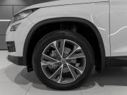 Skoda Kodiaq I Москва  - изображение 50