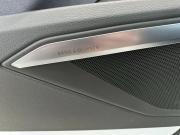 Audi e-tron I Владимир  - изображение 40