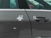 Geely Monjaro I Екатеринбург  - изображение 43