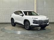 JETOUR DASHING I Москва  - изображение 17
