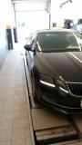 Skoda Octavia III (A7) Рестайлинг Санкт-Петербург  - изображение 6