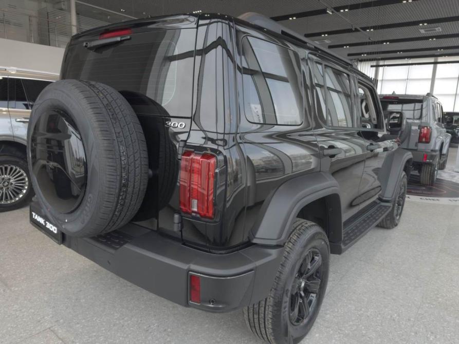 Tank 300 I Нижний Новгород  - изображение 4