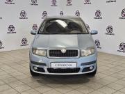 Skoda Fabia I Рестайлинг Тольятти  - изображение 21