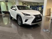 Lexus NX I Рестайлинг Казань  - изображение 25