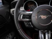 Ford Mustang VI Рестайлинг Сочи  - изображение 45