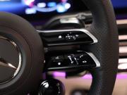 Mercedes-Benz GLS AMG II (X167) Рестайлинг Москва  - изображение 86