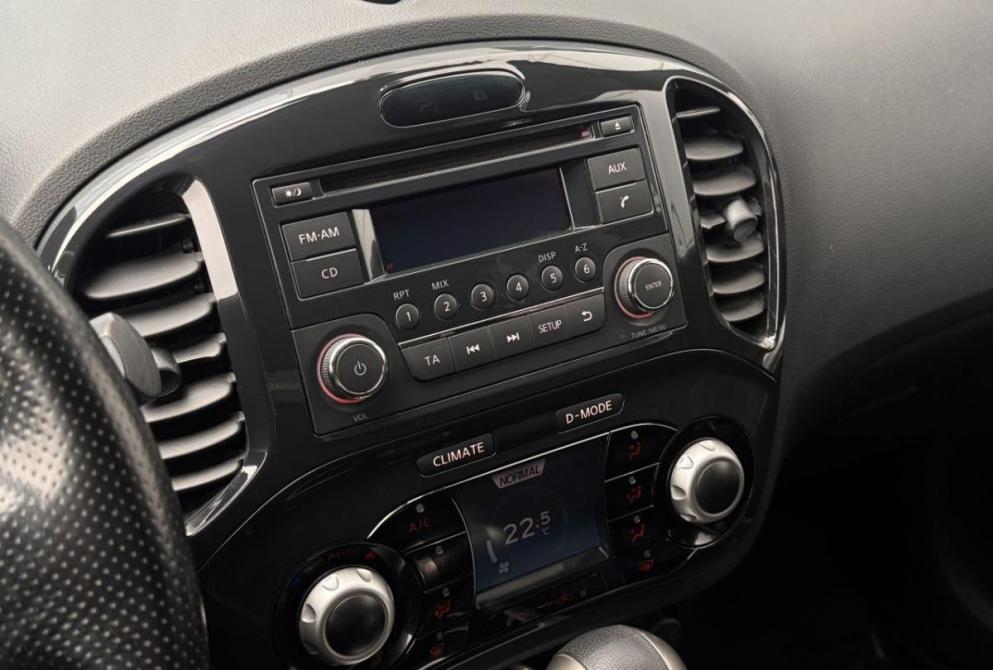 Nissan Juke I Владимир  - изображение 11