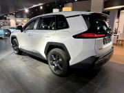 Toyota RAV4 VI (XA60) Москва  - изображение 21