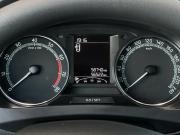 Skoda Rapid I Рестайлинг Екатеринбург  - изображение 41