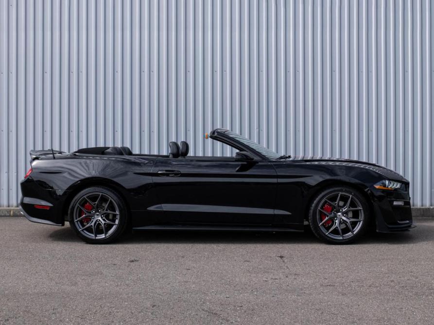 Ford Mustang VI Рестайлинг Сочи  - изображение 9