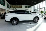 Chery Tiggo 9 I Москва  - изображение 33
