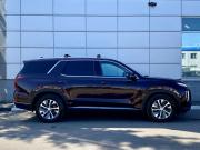Hyundai Palisade I Москва  - изображение 39