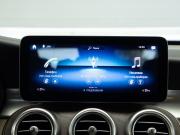 Mercedes-Benz GLC I (X253) Рестайлинг Москва  - изображение 64