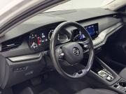 Skoda Octavia IV (A8) Воронеж  - изображение 33