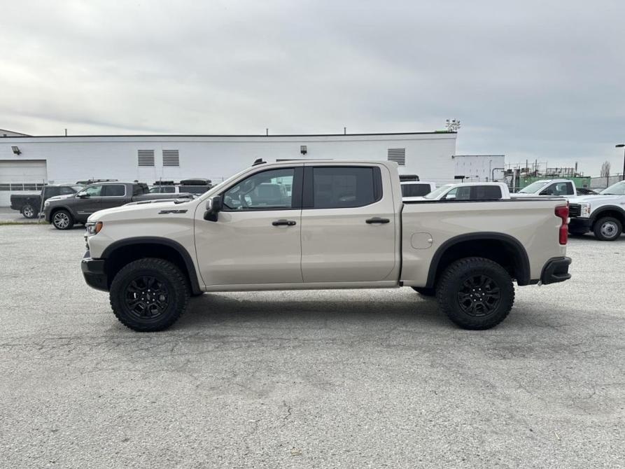 Chevrolet Silverado IV (T1XX) Рестайлинг Новосибирск  - изображение 2