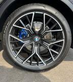 BMW X7 I (G07) Альметьевск  - изображение 102